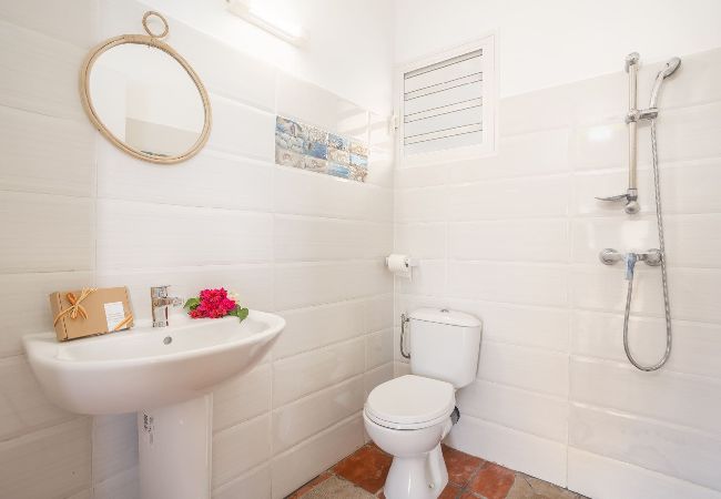 Bungalow in Sainte-Marie - Bungalow avec piscine au cœur de la campagne Vert Bungalow in Sainte-Marie - Bungalow avec piscine au cœur de la campagne Vert