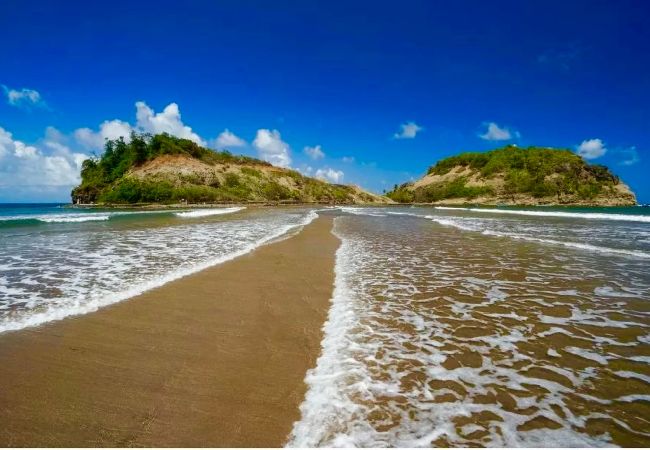Bungalow in Sainte-Marie - Bungalow avec piscine au cœur de la campagne Vert Bungalow in Sainte-Marie - Bungalow avec piscine au cœur de la campagne Vert