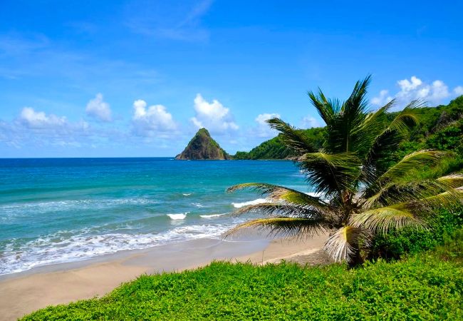 Bungalow in Sainte-Marie - Bungalow avec piscine au cœur de la campagne Vert Bungalow in Sainte-Marie - Bungalow avec piscine au cœur de la campagne Vert