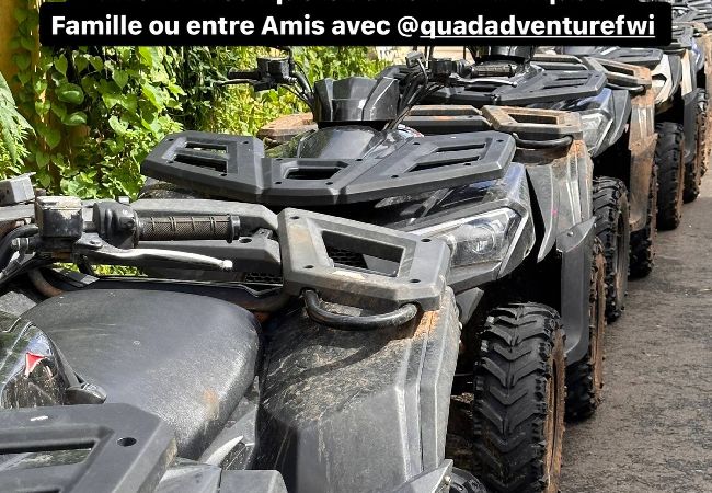 Bungalow in Sainte-Marie - Bungalow avec piscine au cœur de la campagne Vert Bungalow in Sainte-Marie - Bungalow avec piscine au cœur de la campagne Vert