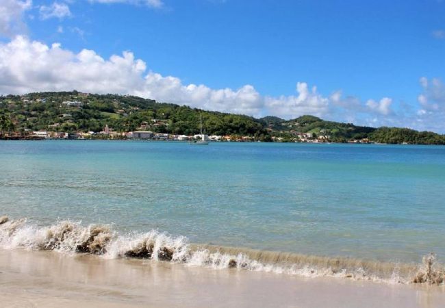 Bungalow in Sainte-Marie - Bungalow avec piscine au cœur de la Campagne Oge Bungalow in Sainte-Marie - Bungalow avec piscine au cœur de la Campagne Oge