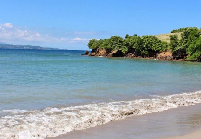 Bungalow in Sainte-Marie - Bungalow avec piscine au cœur de la Campagne Oge Bungalow in Sainte-Marie - Bungalow avec piscine au cœur de la Campagne Oge