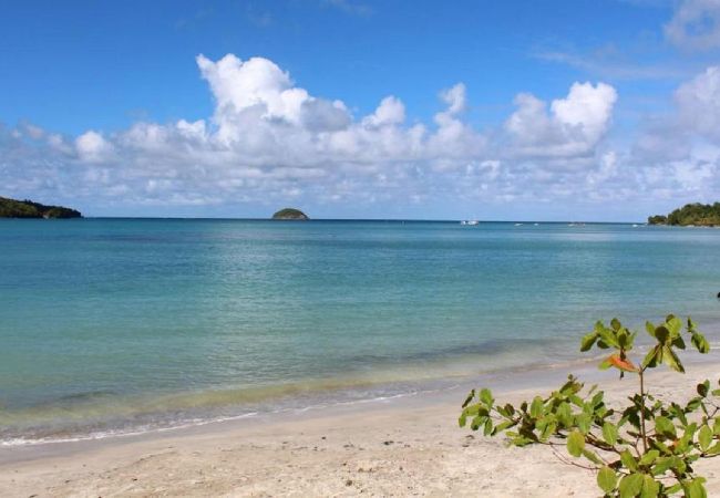 Bungalow en Sainte-Marie - Bungalow avec piscine au cœur de la Campagne Oge Bungalow en Sainte-Marie - Bungalow avec piscine au cœur de la Campagne Oge