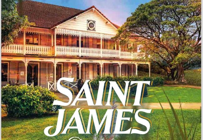 Bungalow a Sainte-Marie - Bungalow avec piscine au cœur de la campagne Vert Bungalow a Sainte-Marie - Bungalow avec piscine au cœur de la campagne Vert