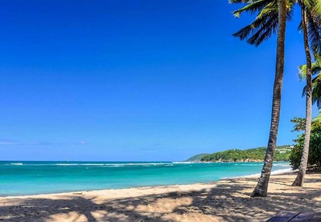 Bungalow a Sainte-Marie - Bungalow avec piscine au cœur de la Campagne Oge Bungalow a Sainte-Marie - Bungalow avec piscine au cœur de la Campagne Oge