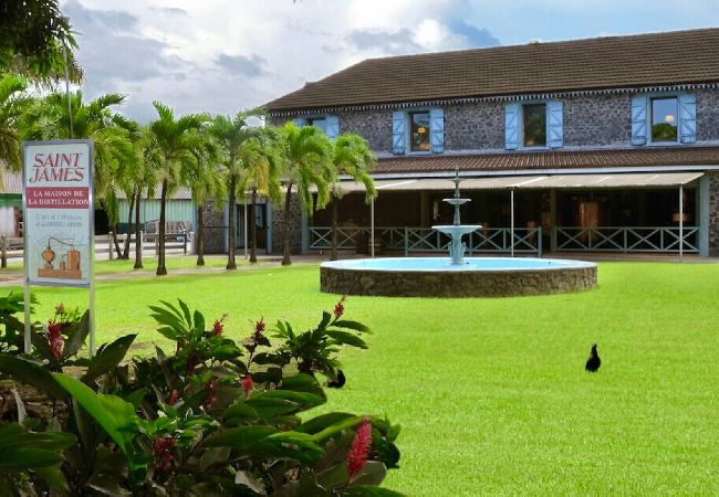 Bungalow em Sainte-Marie - Bungalow avec piscine au cœur de la campagne Vert Bungalow em Sainte-Marie - Bungalow avec piscine au cœur de la campagne Vert