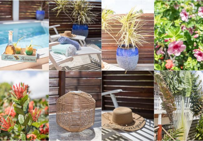 Villa em Le Robert - Coconut Bay House avec Piscine et Jacuzzi Villa em Le Robert - Coconut Bay House avec Piscine et Jacuzzi